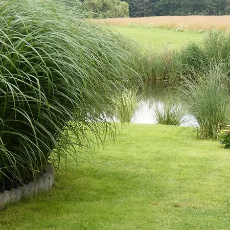 Haus Sarah Casa de Férias *