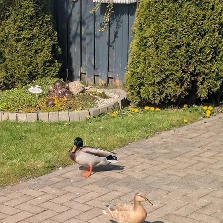 Ferienhaus Haus Sarah